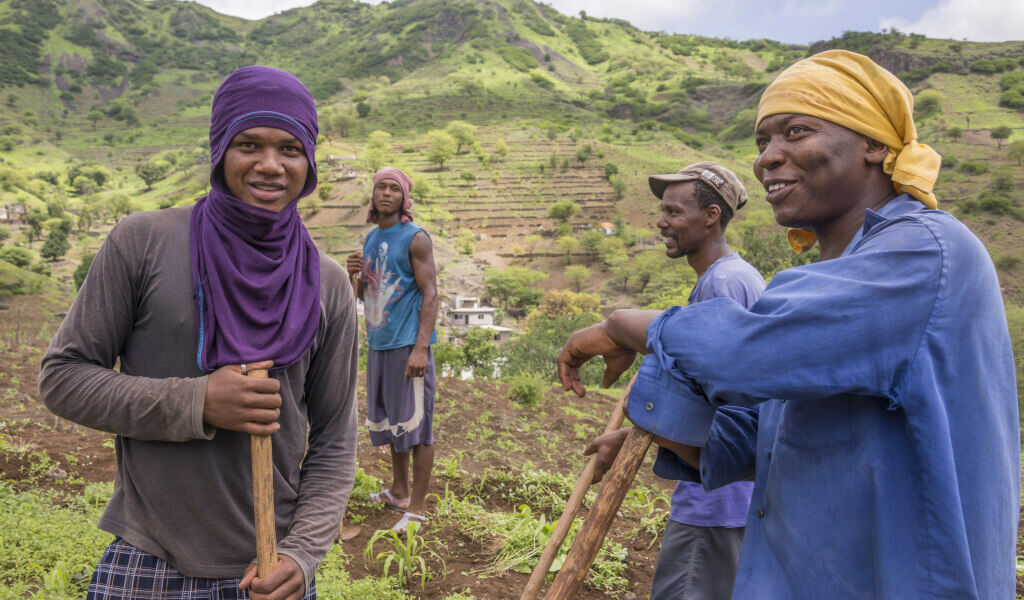 Four agricultural workers standing together in the green highlands of Santiago